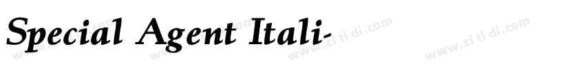 Special Agent Itali字体转换